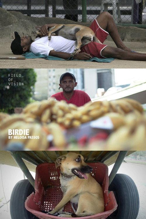 Birdie 2015 official movie poster