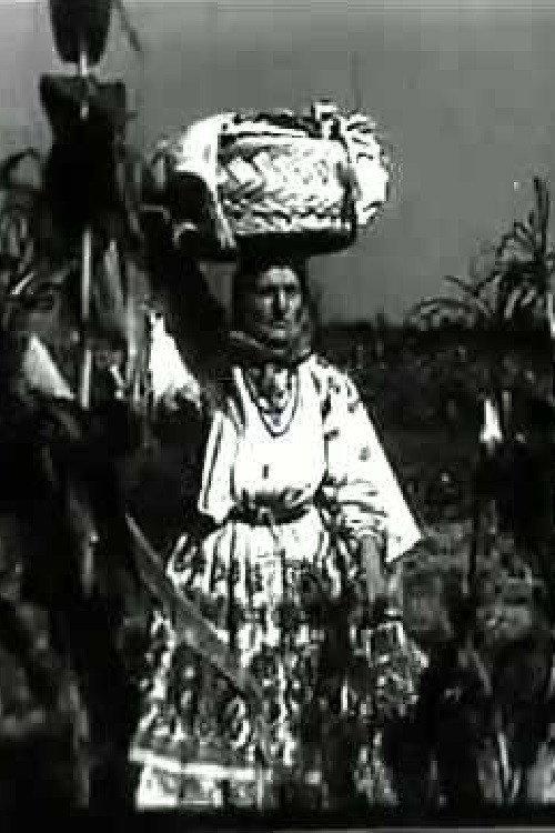 A Day at Turopolje Community 1933 official movie poster