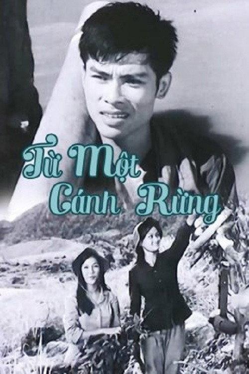From The Same Forests 1978 official movie poster