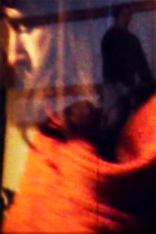JoAnn & Susan x2 1979 official movie poster