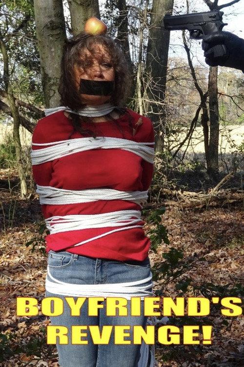 Boyfriend's Revenge official movie poster