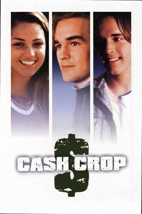 Harvest 1999 official movie poster