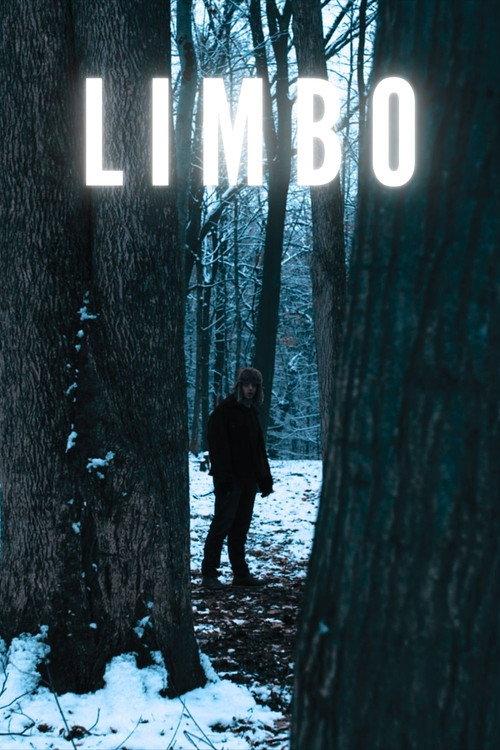 Limbo 2024 official movie poster