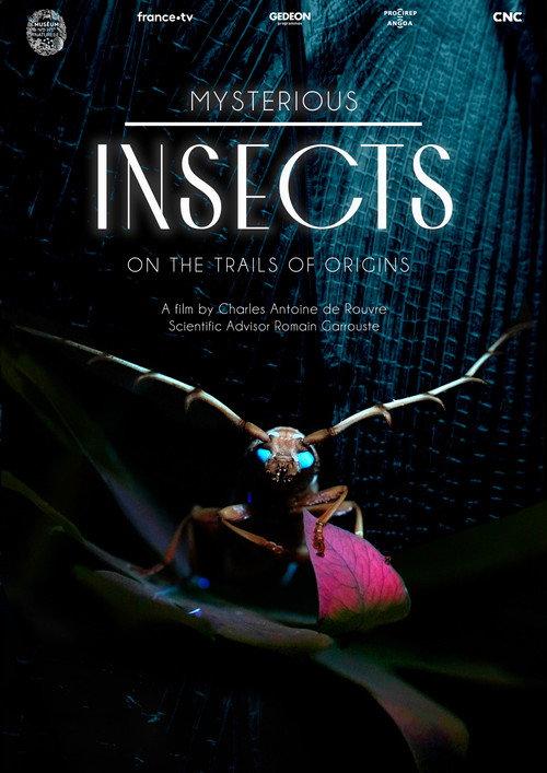 Mysterious Origins of Insects 2022 official movie poster