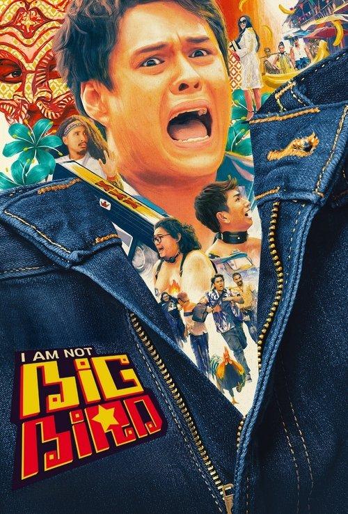 I Am Not Big Bird 2024 official movie poster