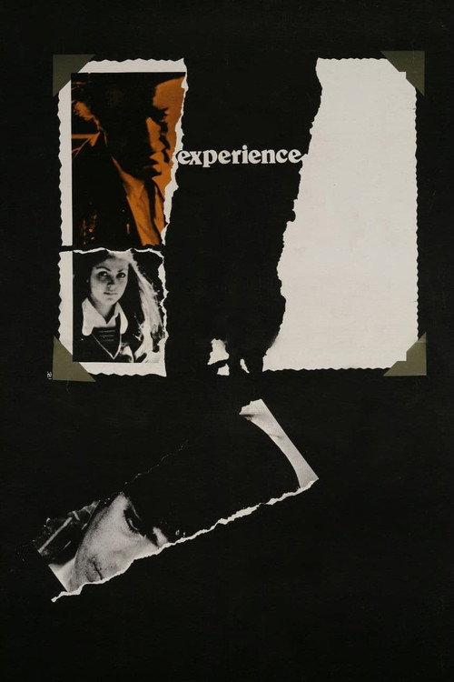 Experience 1973 official movie poster