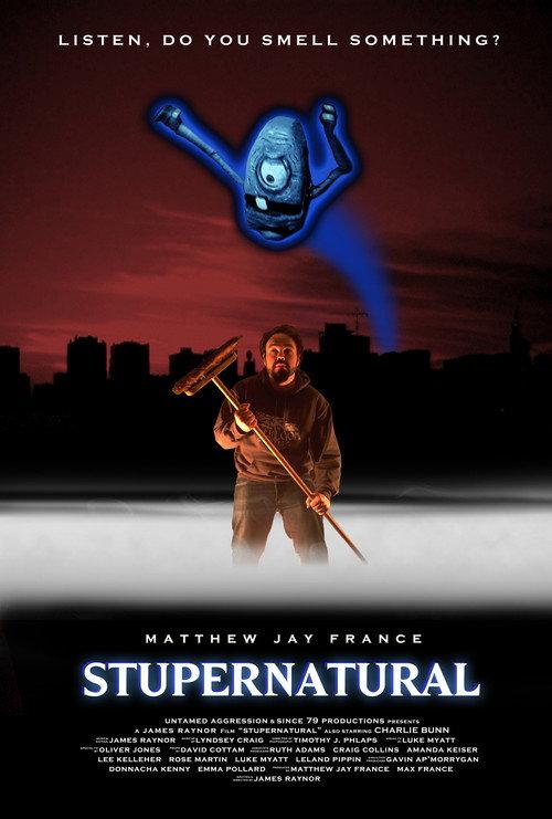 Stupernatural 2011 official movie poster