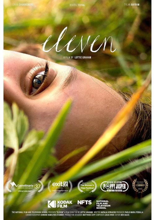 Eleven 2024 official movie poster