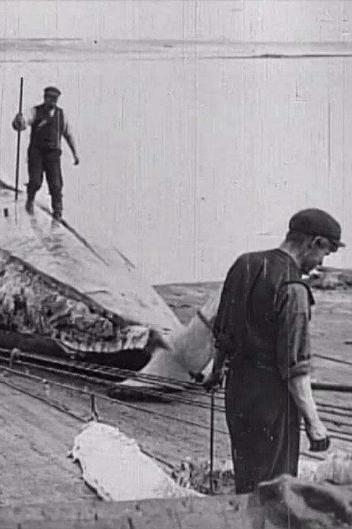 Whaling Afloat and Ashore 1908 official movie poster