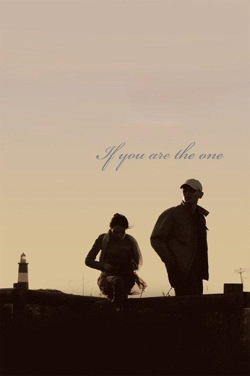 If You Are the One 2008 official movie poster