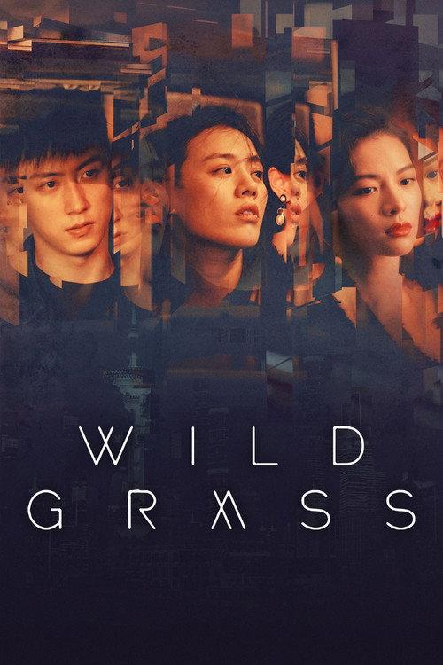 Wild Grass 2020 official movie poster