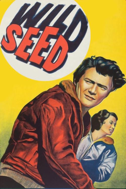 Wild Seed 1965 official movie poster