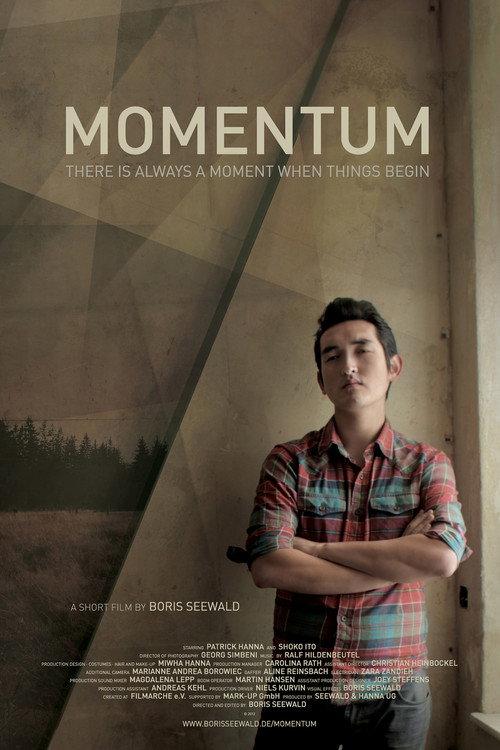 Momentum 2013 official movie poster
