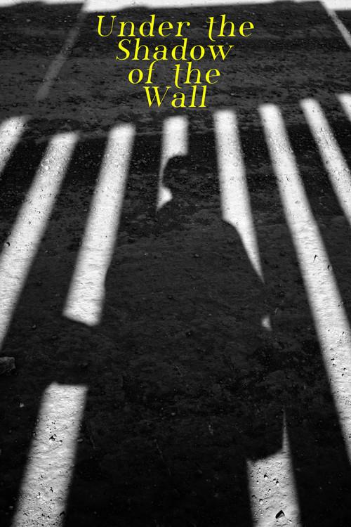 Under the Shadow of the Wall 2022 official movie poster