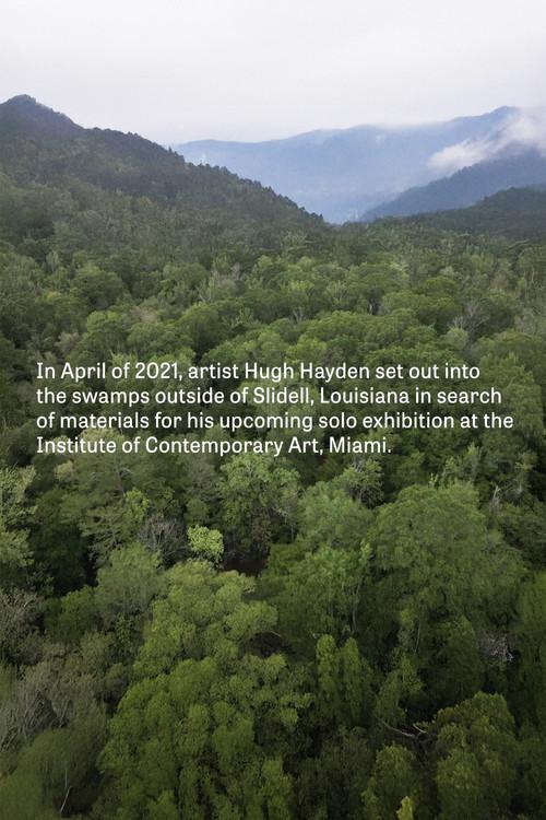 Hugh Hayden: Skeletons in the Swamp 2022 official movie poster