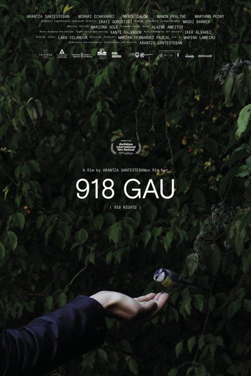 918 Nights 2021 official movie poster