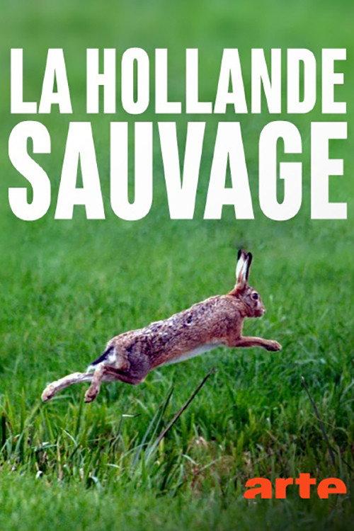 La Hollande sauvage - Dans l'oeil du delta 2017 official movie poster