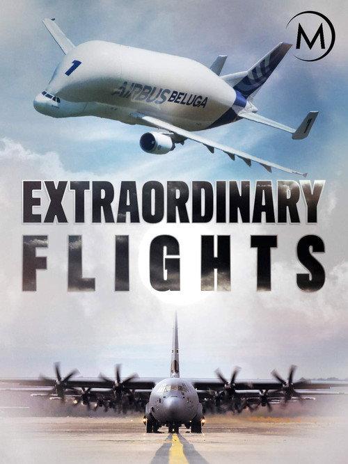 Extraordinary Flights 2017 official movie poster