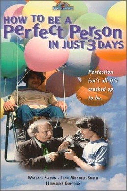 How to Be a Perfect Person in Just Three Days 1984 official movie poster