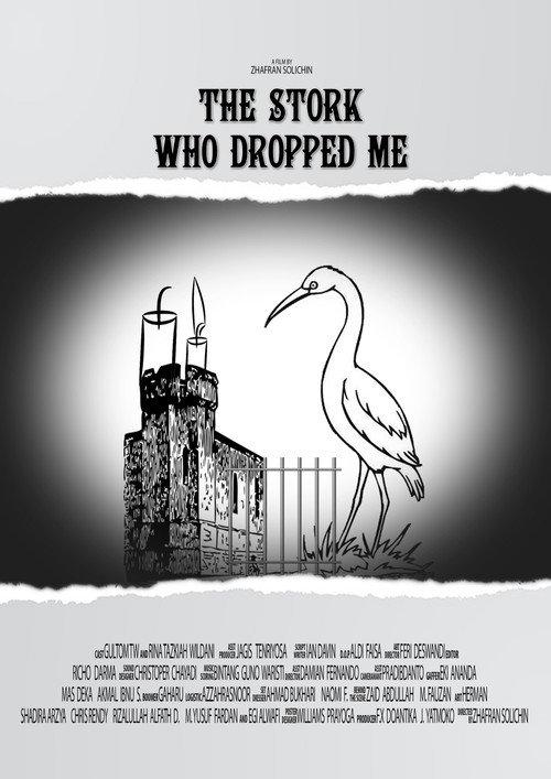 The Stork Who Dropped Me 2016 official movie poster