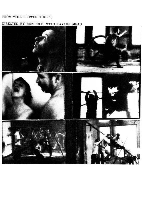 The Flower Thief 1960 official movie poster