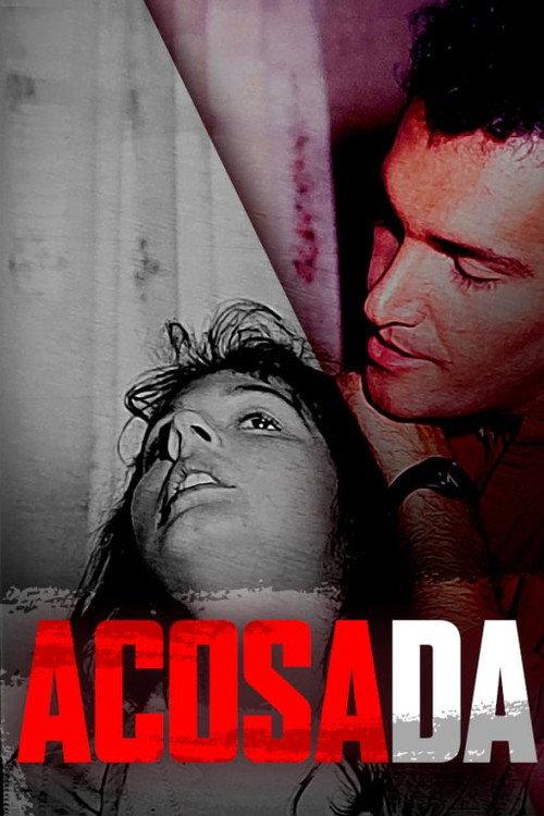 Acosada 1994 official movie poster