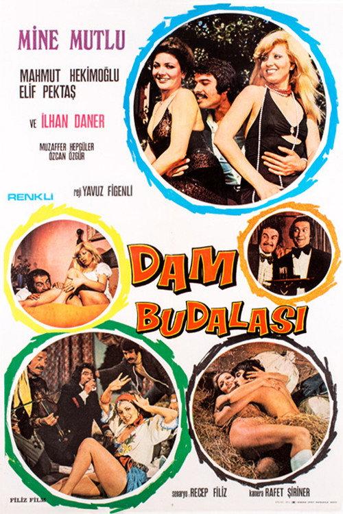 Dam Budalası 1975 official movie poster