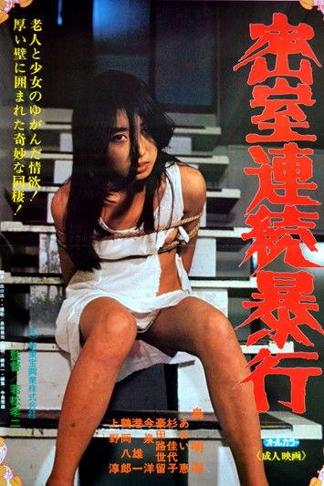 Serial Rape in a Secret Room 1981 official movie poster