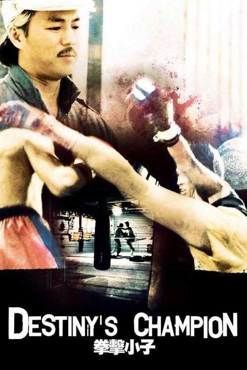 Destiny's Champion 1982 official movie poster