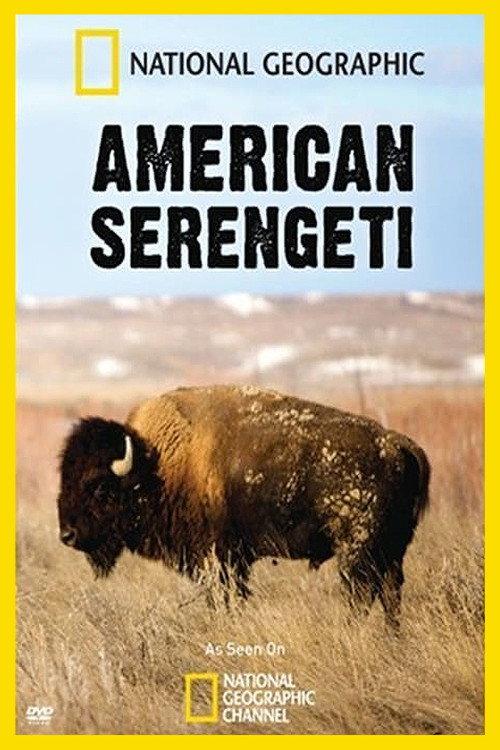 American Serengeti 2010 official movie poster