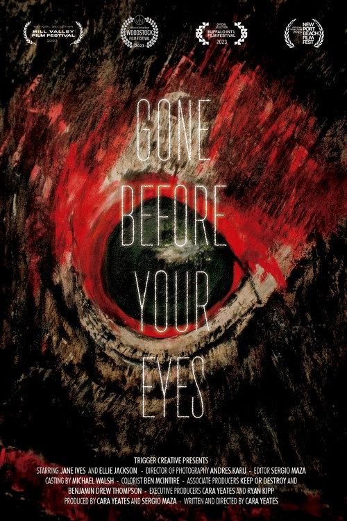 Gone Before Your Eyes 2023 official movie poster