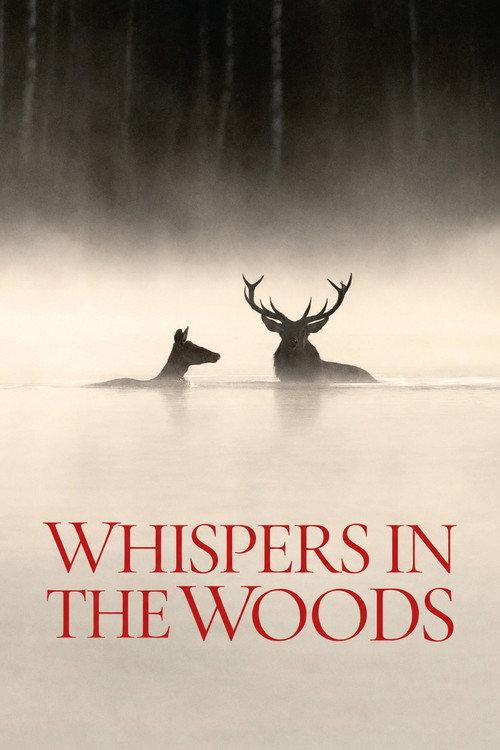 Whispers in the Woods 2025 official movie poster