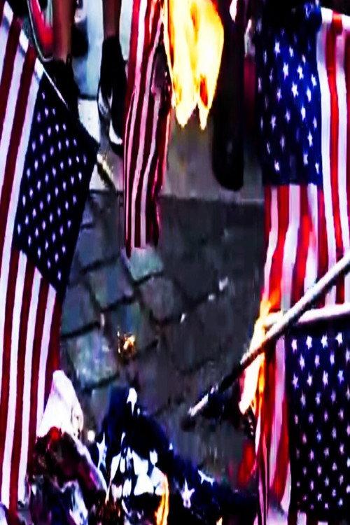 Naughty America: Guns & Stripes 2025 official movie poster