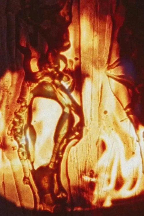 Friendly Fire 2003 official movie poster