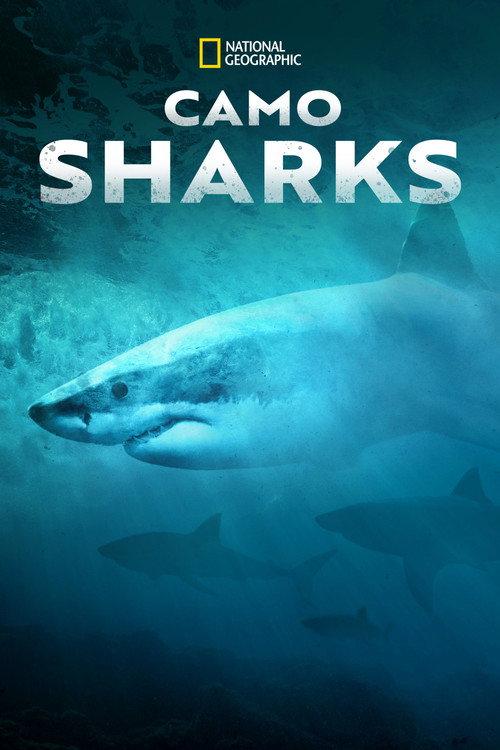 Camo Sharks 2022 official movie poster