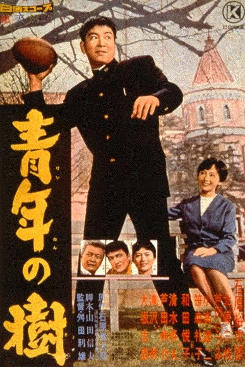 The Day of Youth 1960 official movie poster