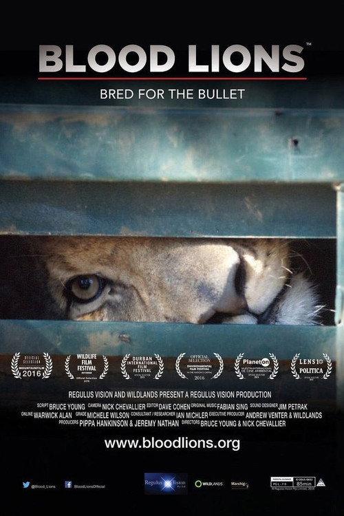 Blood Lions 2015 official movie poster