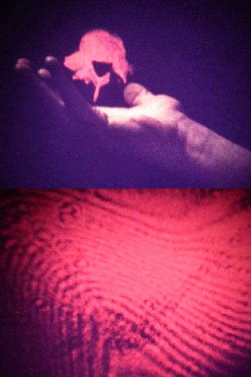 Visual Alchemy 1973 official movie poster