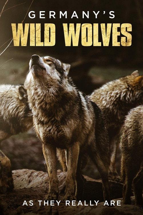 Germany's Wild Wolves - As They Really Are 2019 official movie poster