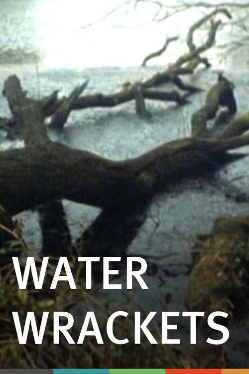 Water Wrackets 1978 official movie poster