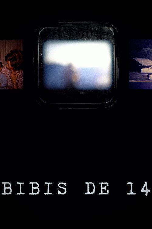 Bibis of 14 2023 official movie poster