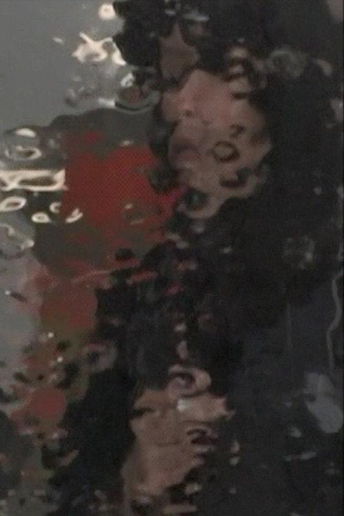 Akira Tsuboi Documents 2013 official movie poster