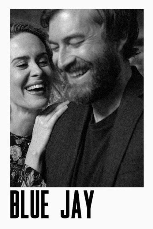Blue Jay 2016 official movie poster