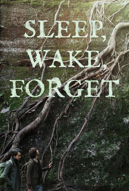 Sleep, Wake, Forget 2024 official movie poster