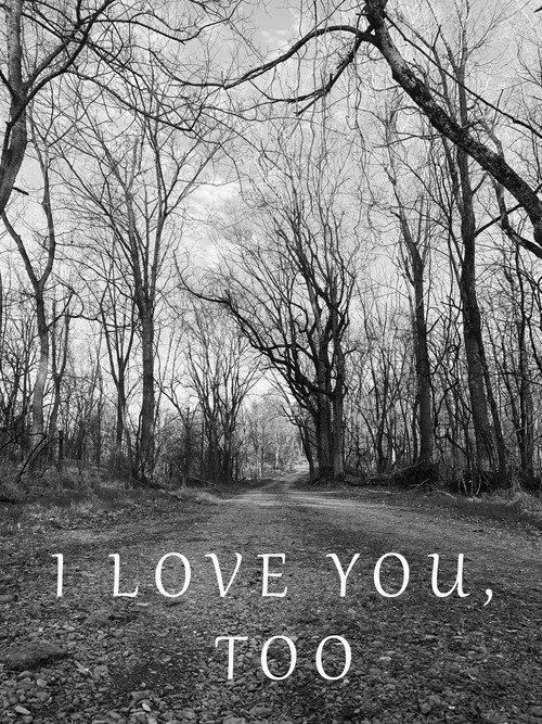 I Love You, Too 2022 official movie poster