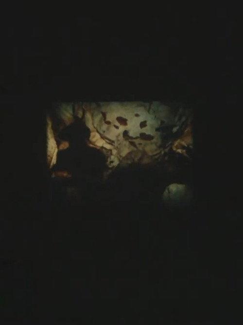Sans titre (Lascaux) 2017 official movie poster