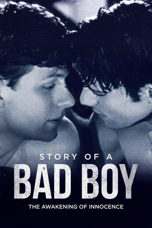 Story of a Bad Boy 2001 official movie poster