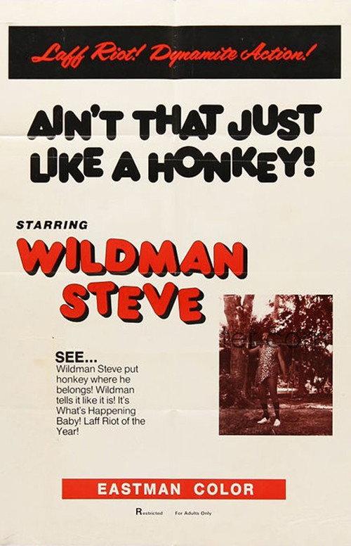 Ain't That Just Like a Honkey! 1976 official movie poster