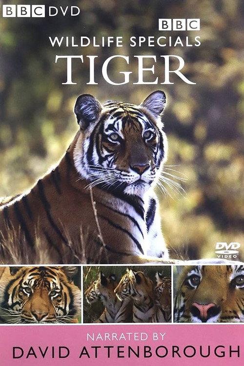 Tiger: The Elusive Princess 1999 official movie poster