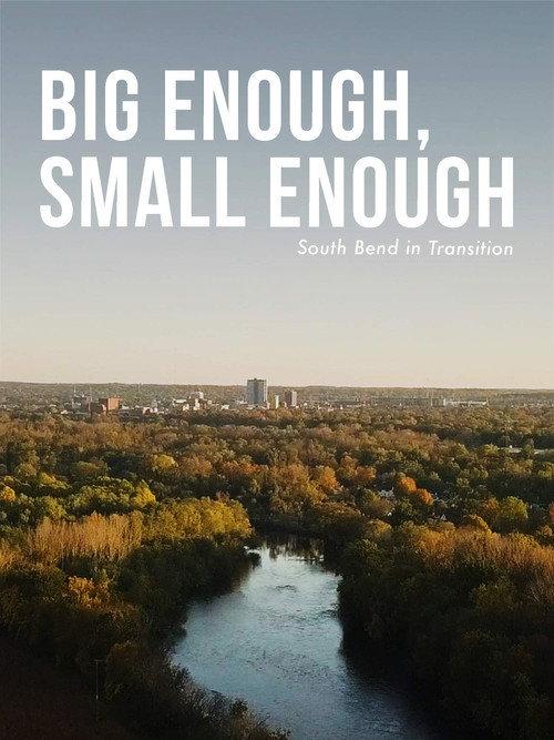 Big Enough, Small Enough 2020 official movie poster